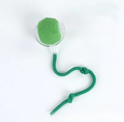 Interactive Dog Toy