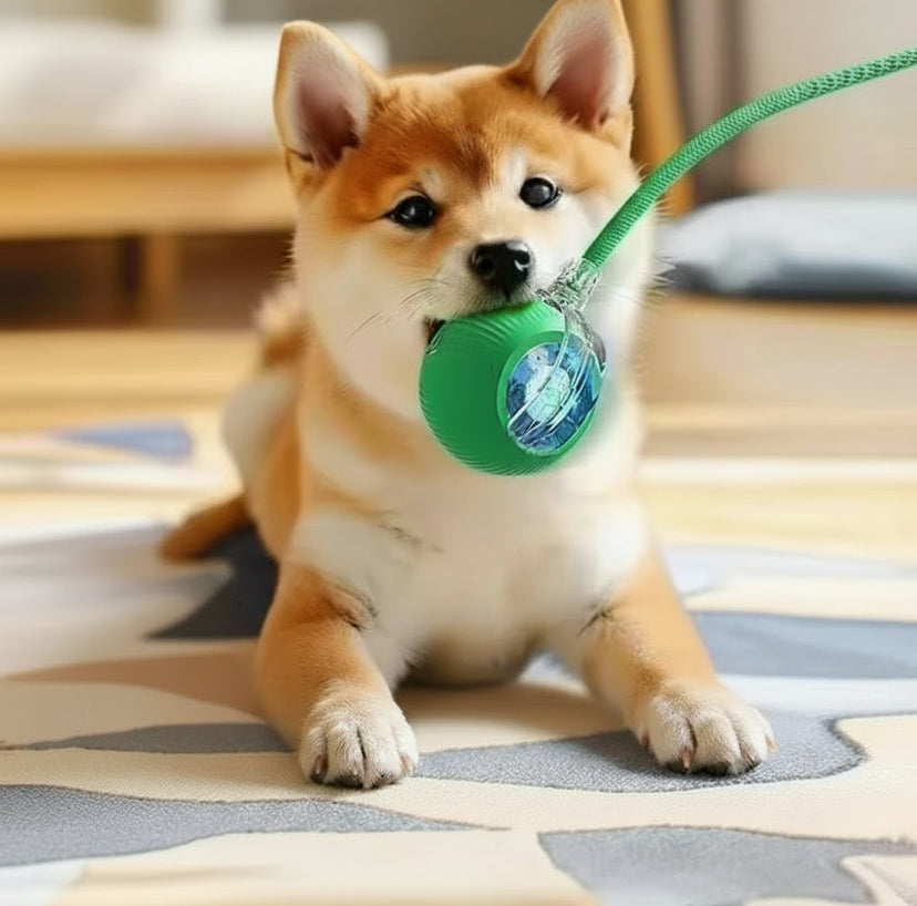 Interactive Dog Toy