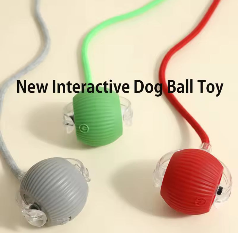 Interactive Dog Toy