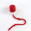 Interactive Dog Toy