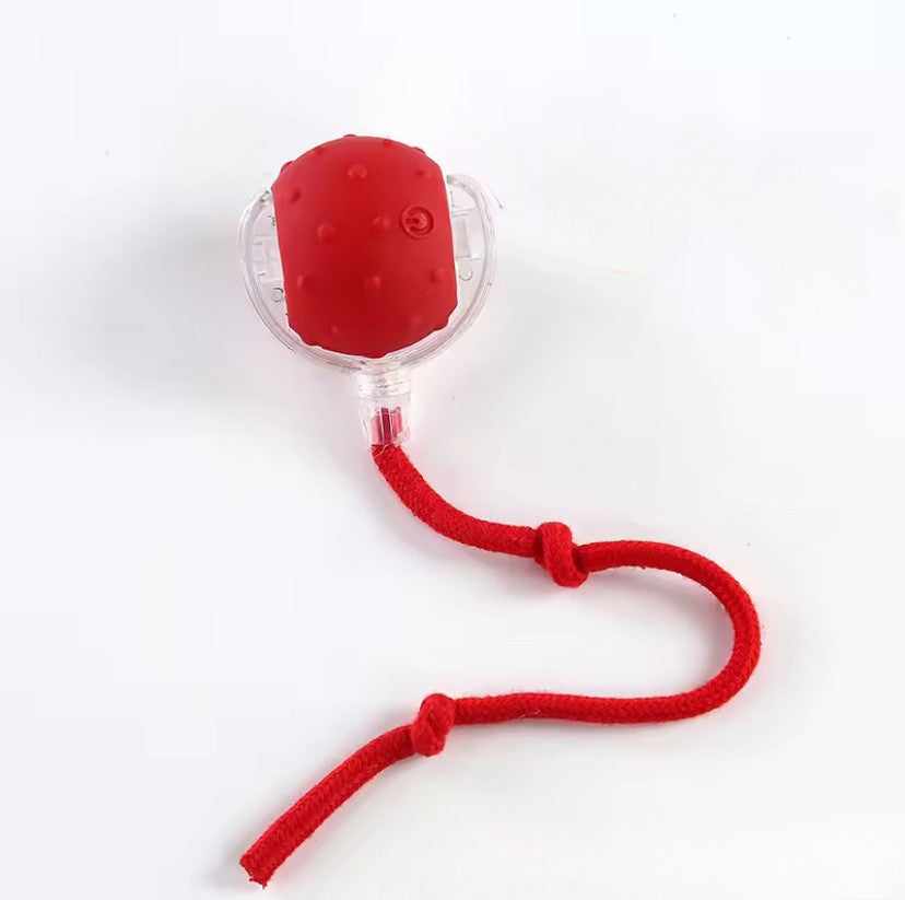 Interactive Dog Toy