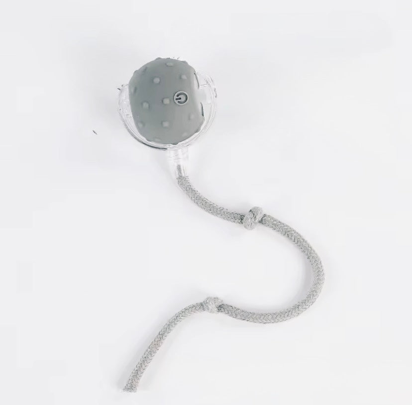 Interactive Dog Toy