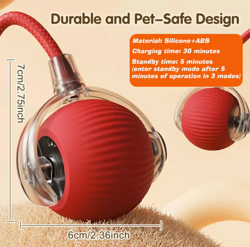 Interactive Dog Toy