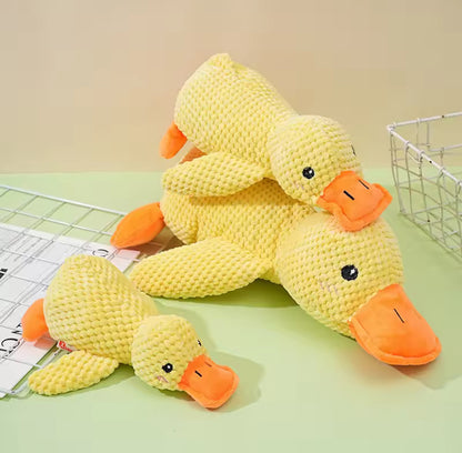 Cuddle Duck