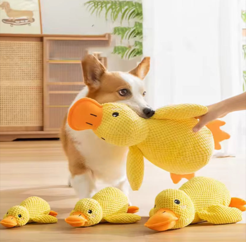Cuddle Duck