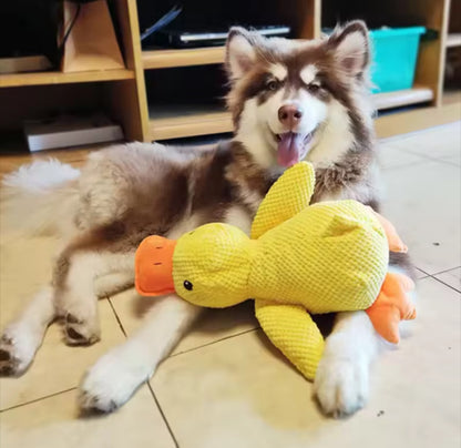 Cuddle Duck