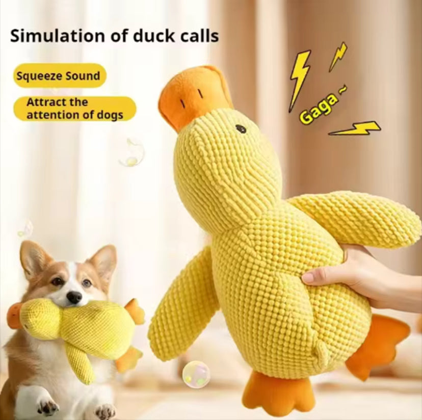 Cuddle Duck