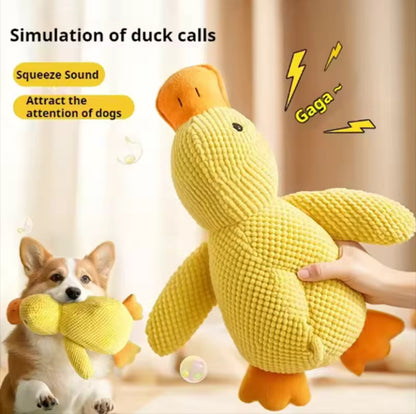 Cuddle Duck