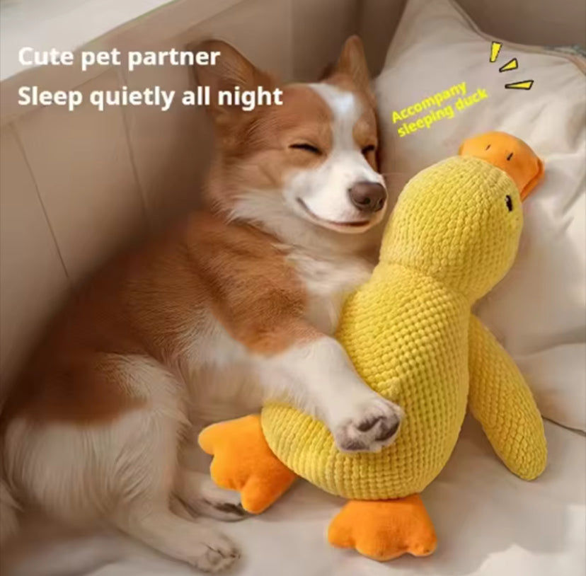 Cuddle Duck