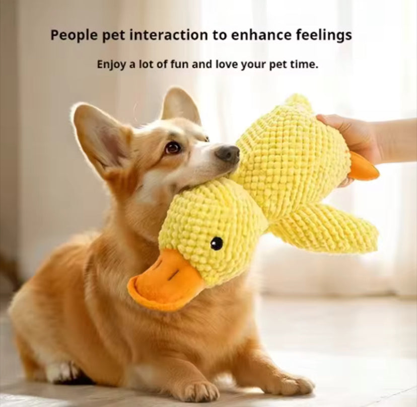 Cuddle Duck