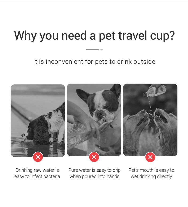 Bark Crew™ On-The-Go Water