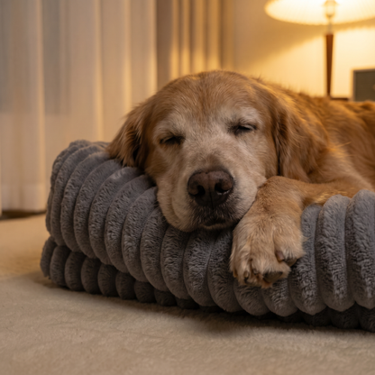 The Bark Crew Orthopedic pet Bed