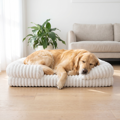 The Bark Crew Orthopedic pet Bed