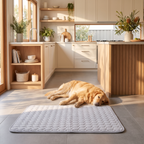 Dog on kitchen tiles beside the CoolSpot