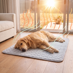Dog relaxing on the CoolSpot indoors while heat rises outside